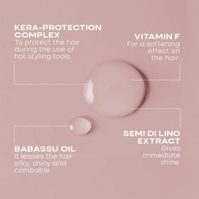 Babassu oil ingredients image illustrating luminous softness and manageability.