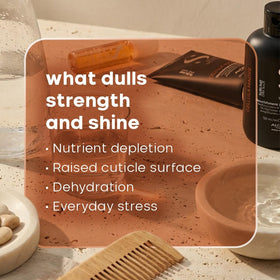 ALFAPARF Milano Cellula Madre multiplier for dull hair restoring brightness