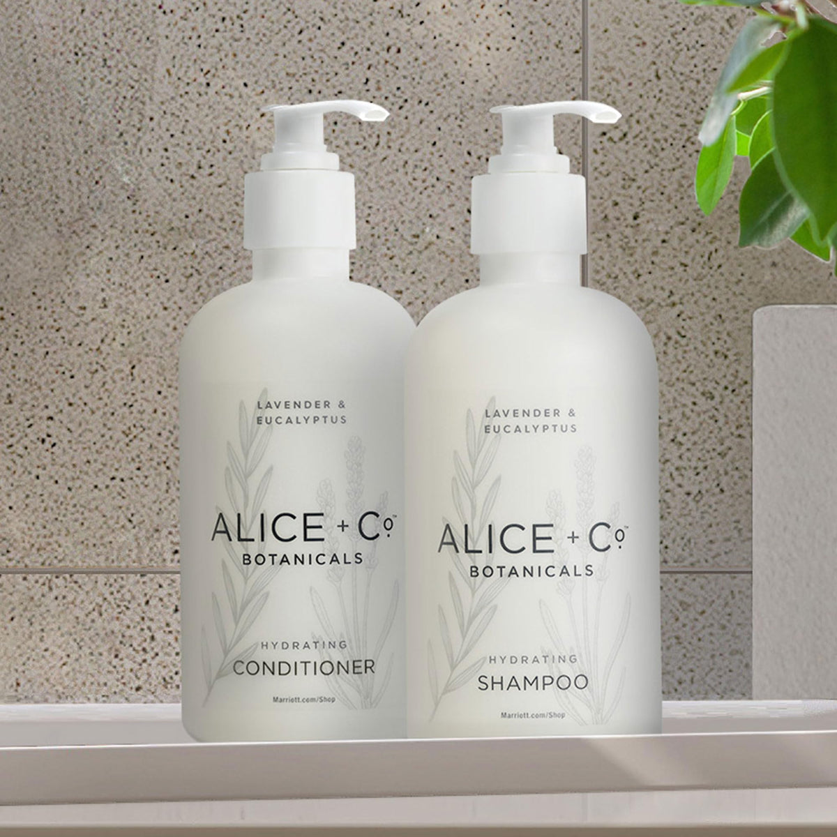 Alice + Co. Lavender conditioner bottle for hydration.