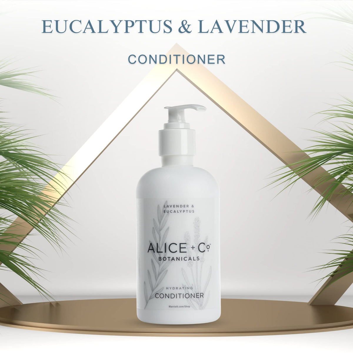 Alice + Co. morning routine setup showcases ritual-friendly care.