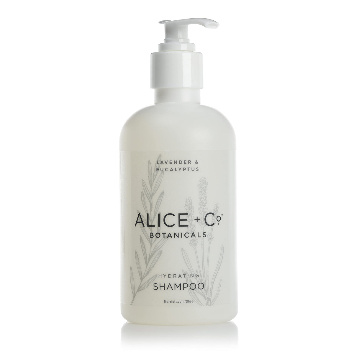 Alice + Co Lavender and Eucalyptus shampoo bottle pour for a refreshing cleanse