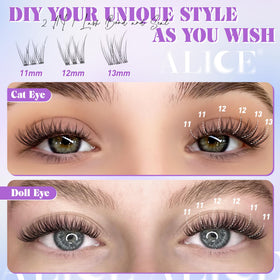 ALICE easy-set plan suits both beginners and pros.