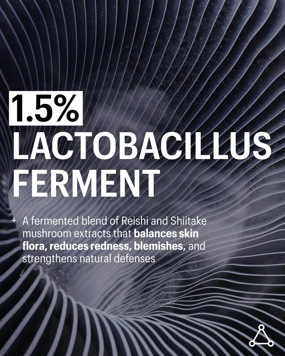 Lactobacillus ferment ingredient balances skin flora in the mist.