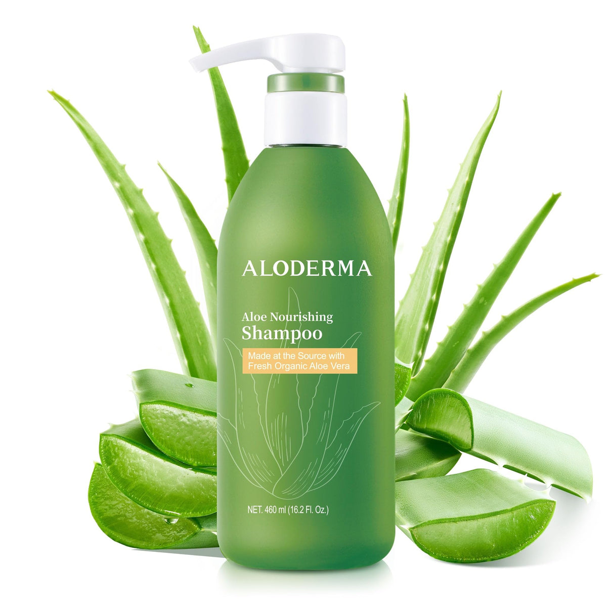 Aloderma Aloe Nourishing Shampoo bottle front showing gentle cleanse for dry hair