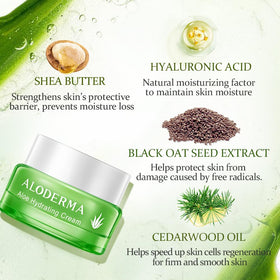 Aloderma aloe vera leaf closeup highlights natural origin and soothing properties