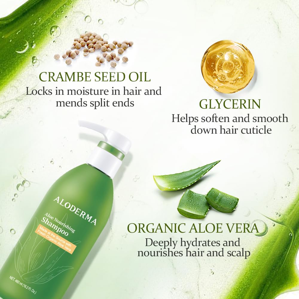 Aloderma aloe leaves close-up highlighting natural aloe benefits for hair care