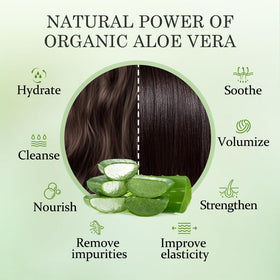 Aloderma Crambe seed oil jar suggests rich hydration and shine for dry hair