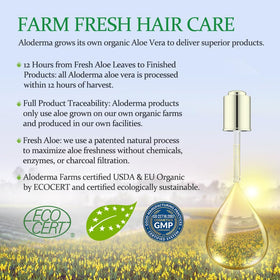 Aloderma shampoo foamy lather conveys gentle cleansing and moisturization