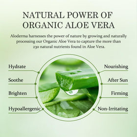 Aloderma Shea butter nourishment sign highlights rich hydration for dry skin.