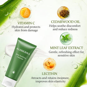 Aloderma Soothing Cleanser ingredients Aloe Vera highlighted for natural hydration.