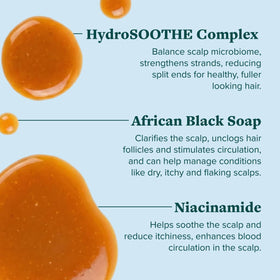 ALODIA Black Soap Wash rich lather highlights clarifying cleanse for hair.