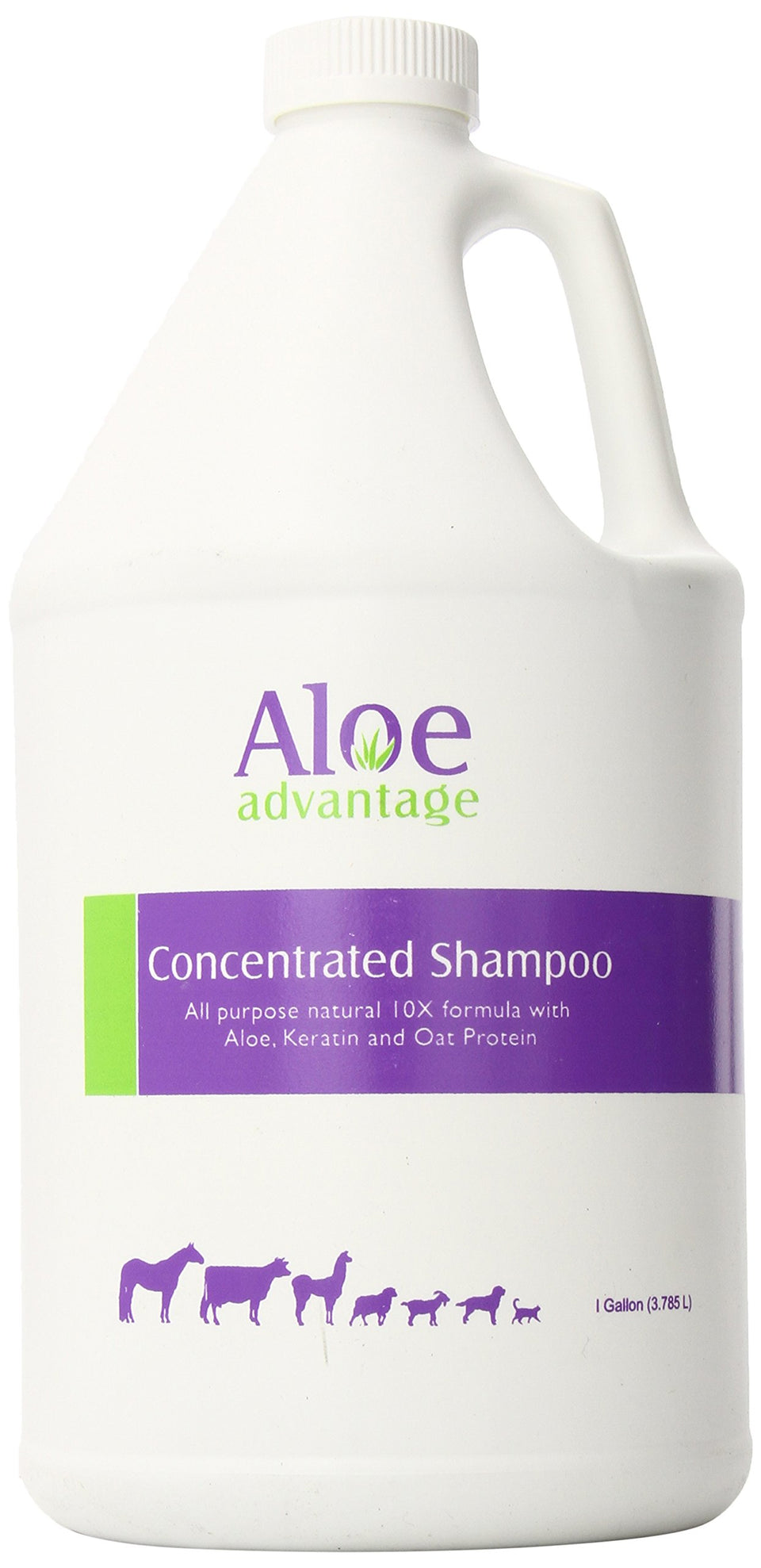 Aloe Advantage Aloe Concentrated Shampoo bottle pour showcases hydrating formula for refreshed, smooth hair.