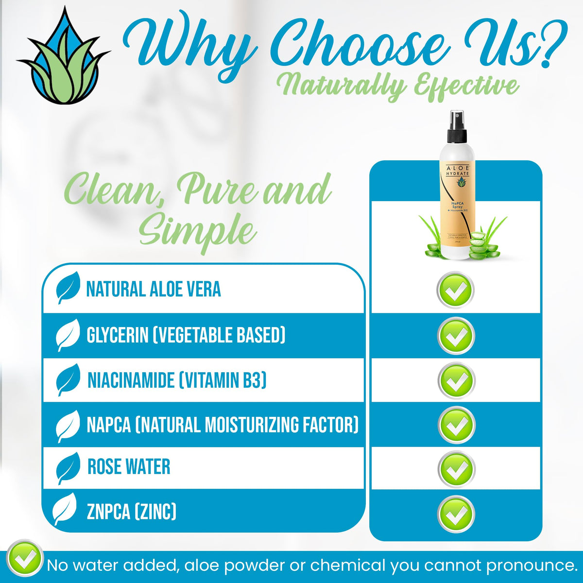 AloeHydrate NaPCA Mist ingredients graphic showcasing key actives.