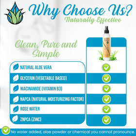 AloeHydrate NaPCA Mist ingredients graphic showcasing key actives.