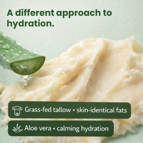 AloeTallow after sun use helps maintain tan and soothe skin.