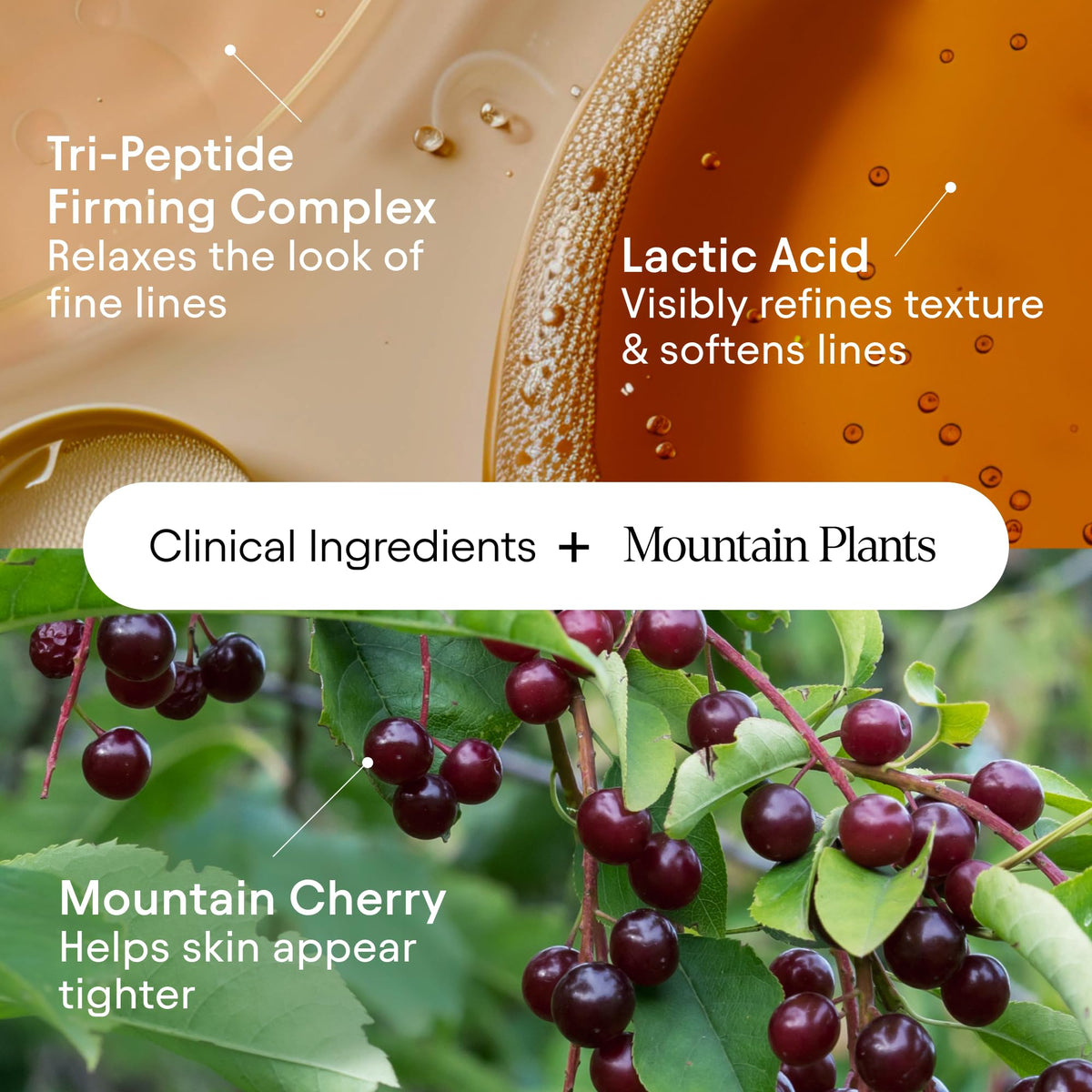 Alpyn Beauty cucumber seed oil drop showcased in formula.
