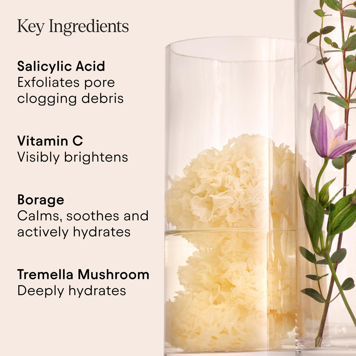 Sustainable packaging concept from Alpyn Beauty