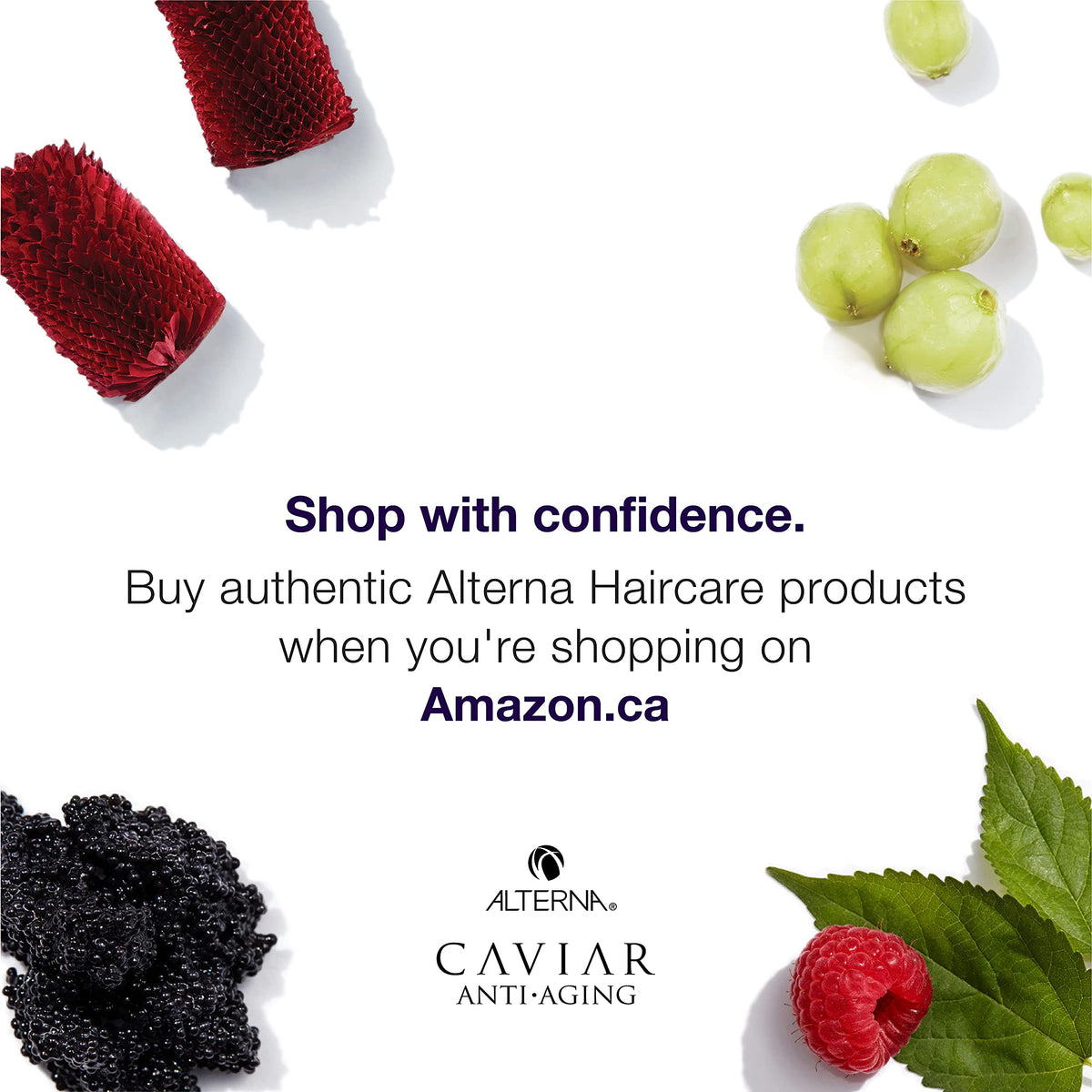 Shampoo bottle hints at sustainably farmed caviar for refined, ethical hair care