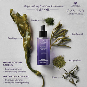 Alterna CAVIAR Anti-Aging Moisture Oil close-up highlighting reflective shine