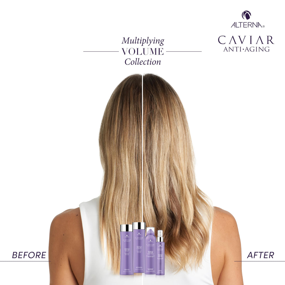Alterna Color Hold technology logo close-up protecting color brightness.