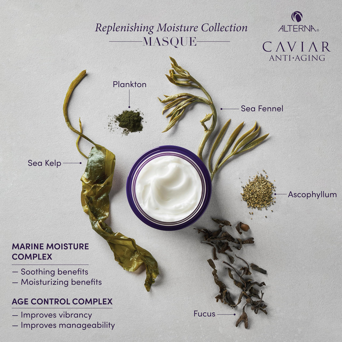 Alterna sulfate-free formula label emphasizes clean beauty and gentle care.