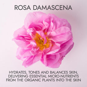 Alteya Organics Rose Water spray mist for mid-day skin refreshment.