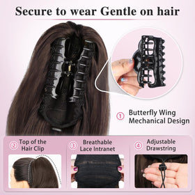 ALXNAN care and storage image demonstrating detangling and serum for longevity.