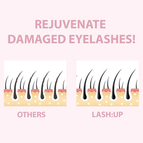 Amber Lash Curlerful at-home kit for salon-like results