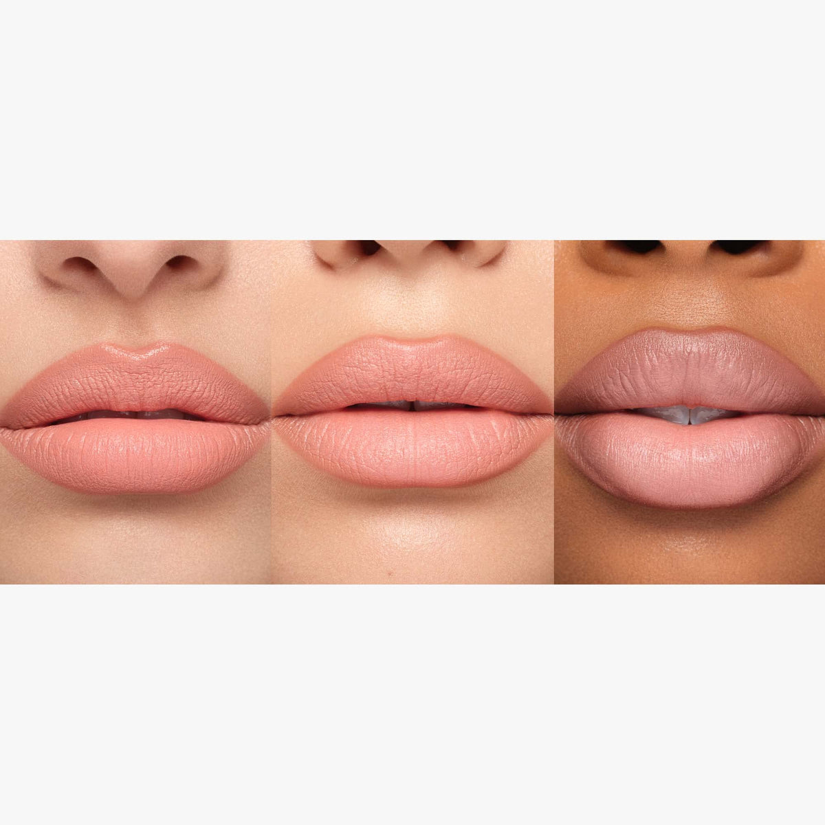Anastasia Beverly Hills packaging for Matte Lipstick Hush Rose highlights premium branding.