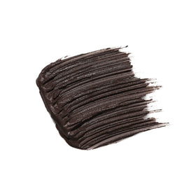 Anastasia Beverly Hills Brow Gel Chocolate packaging for easy storage.