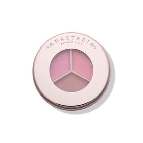 Anastasia Magic Touch Blush Trio pink shades swirled on skin for buildable color
