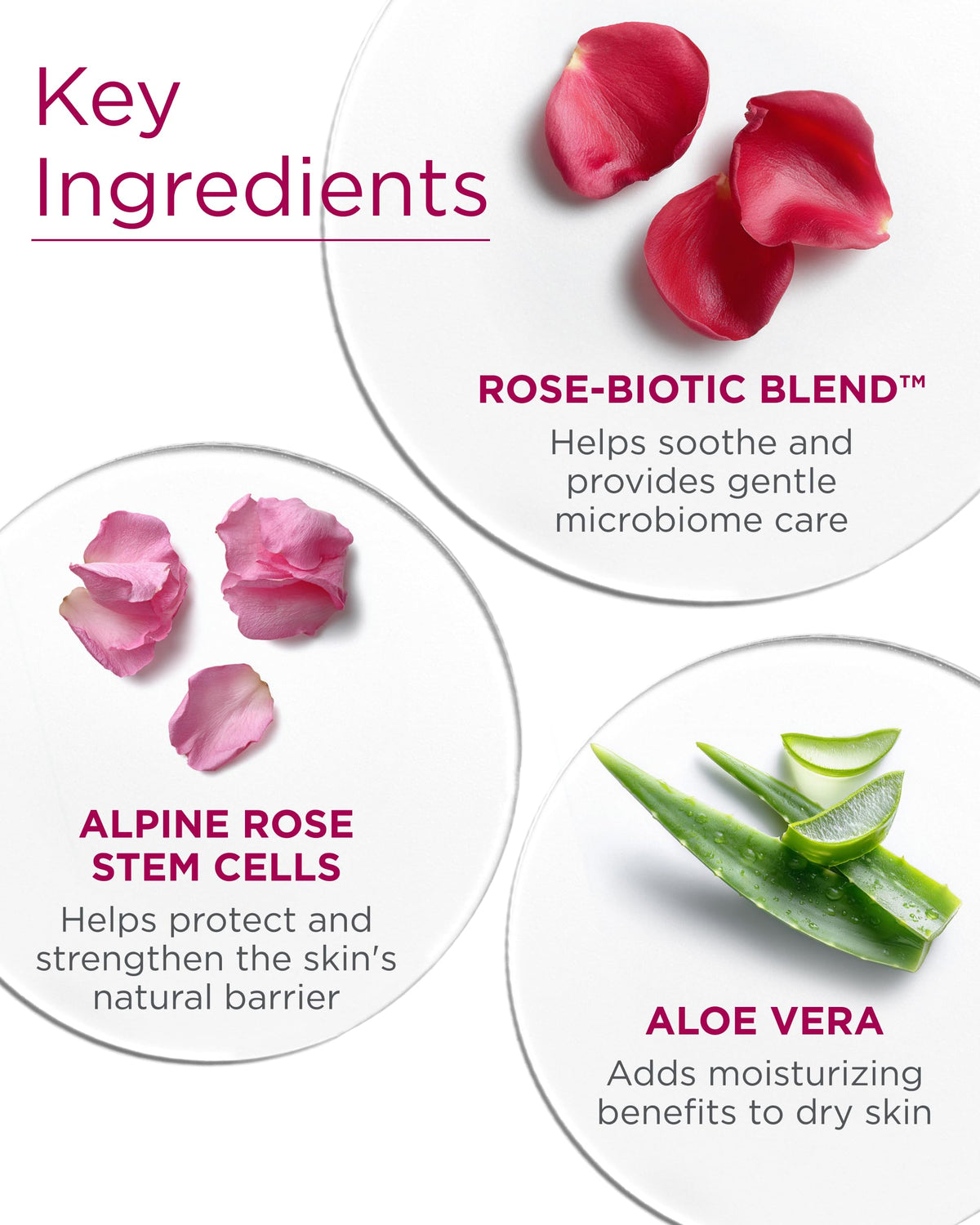 Andalou Naturals Gardenia flower extract helping even skin tone