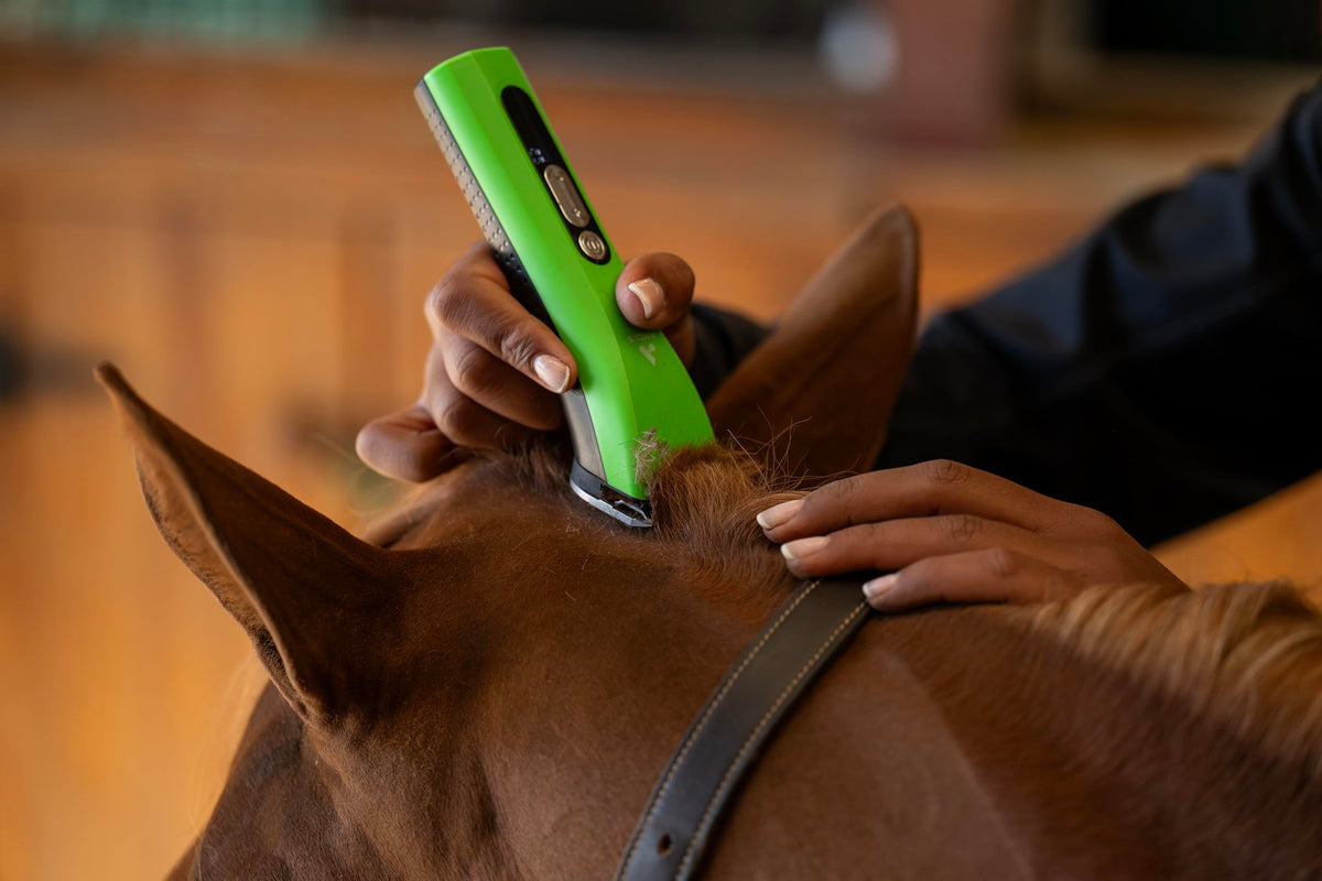 Andis ProClip lithium-ion battery delivers hours of cord-free grooming.