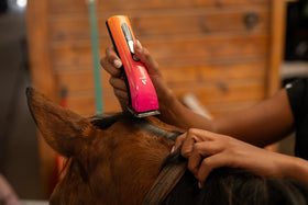Andis ProClip lithium-ion battery offers up to 2.5 hours of grooming.