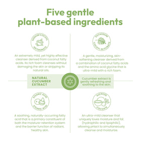 ANDREW LESSMAN pHact cucumber bar ingredients spotlight five plant-based components.