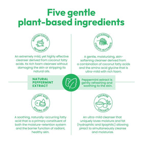 Andrew Lessman pHact mint bar packaging close-up, five ingredient mild formula