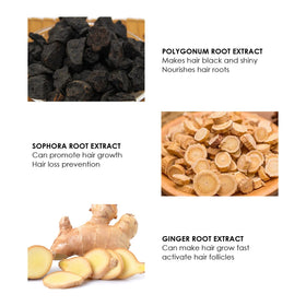 ANEFOSE Hair Regrowth System ginger-ginseng ingredients; botanicals for scalp health.