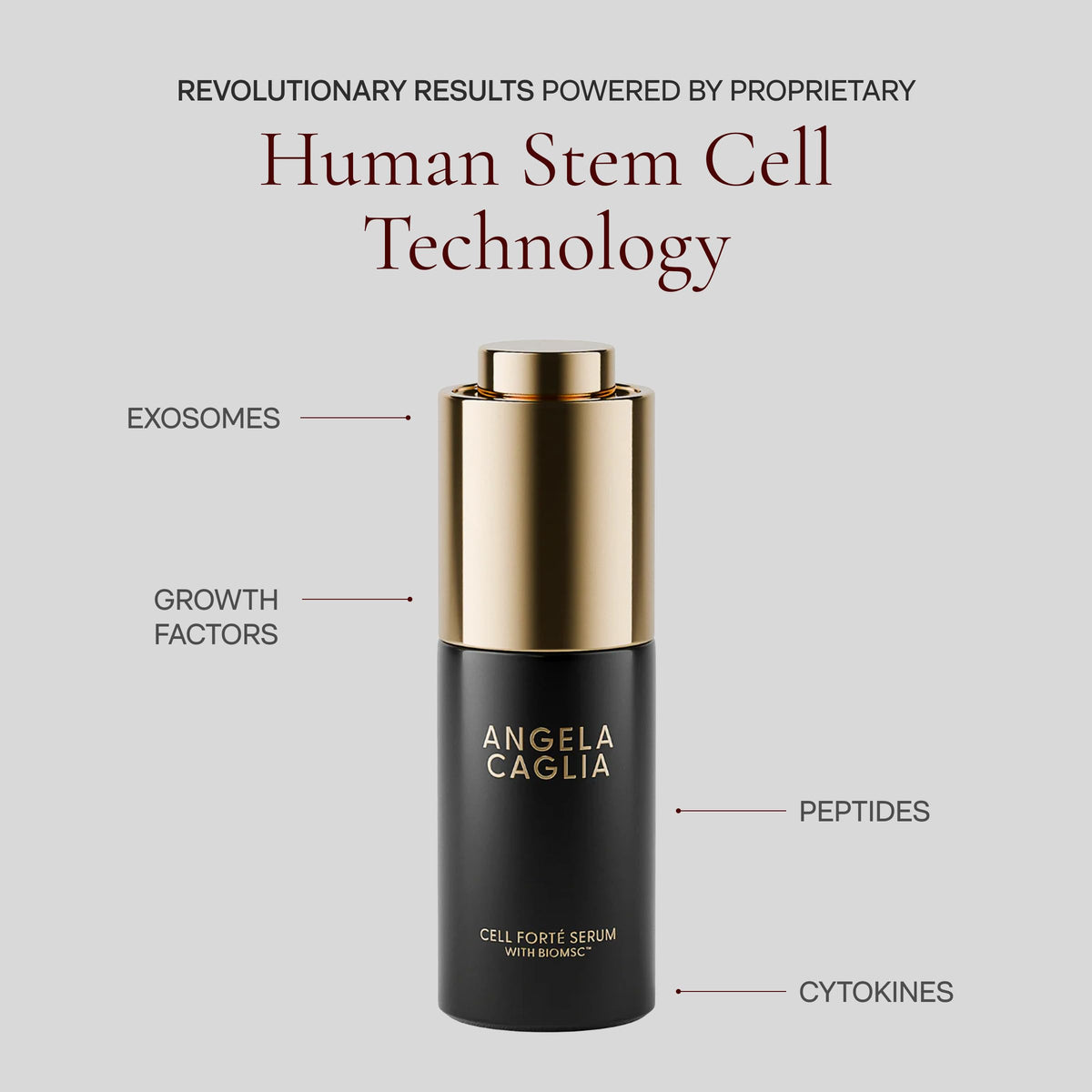 Two‑month supply shown for a sustained routine aimed at gradual firming and even tone.