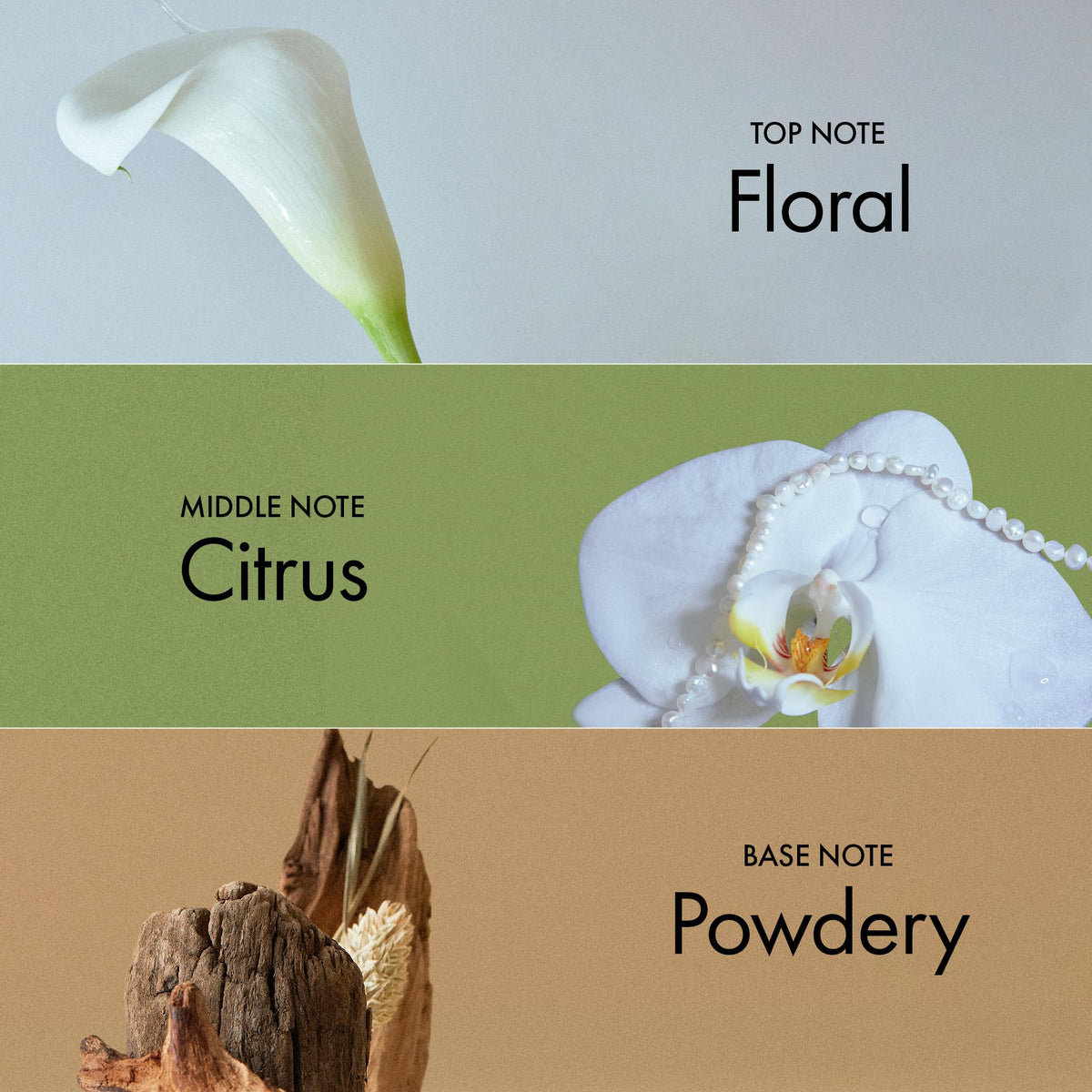ANILLO Gardenia Veil delicate floral fragrance suitable for daily wear.