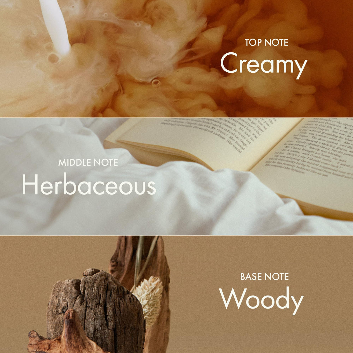 ANILLO Hair-oil-on-hand shows easy application and light texture