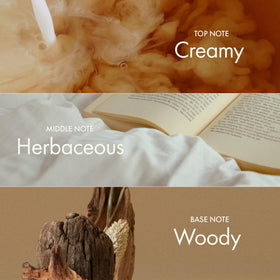 ANILLO Hair-oil-on-hand shows easy application and light texture