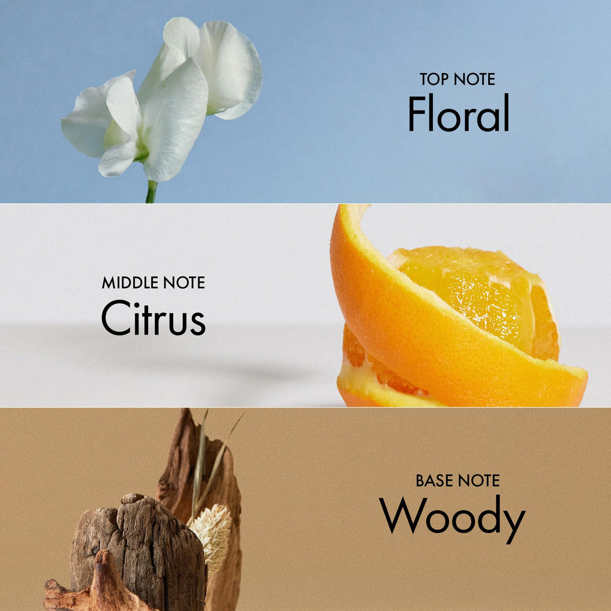 ANILLO Neroli Glow vegan and cruelty-free certification supports ethical hair care