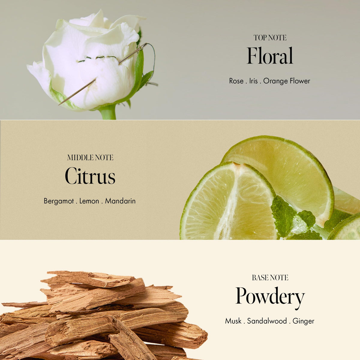 ANILLO Rosy Night rosehip oil adds conditioning and a healthy shine.