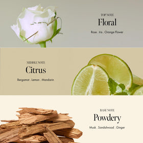 ANILLO Rosy Night rosehip oil adds conditioning and a healthy shine.