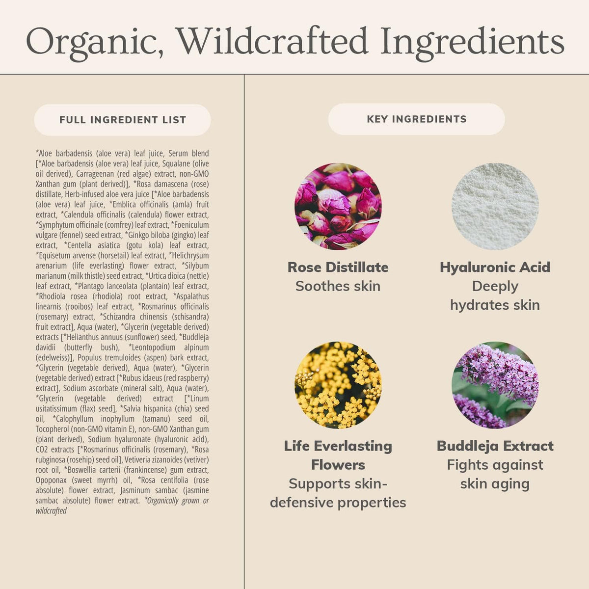 Annmarie Organic and Wildcrafted ingredients close-up.