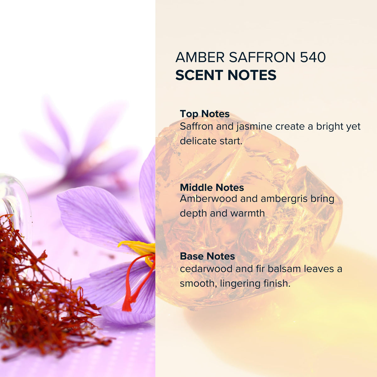 High-quality ingredients in Anthology Amber Saffron 540