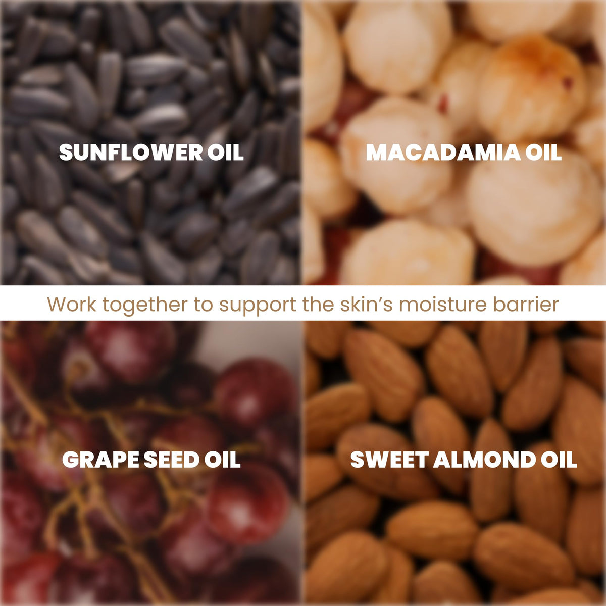 ANYELUZ lightweight, non-greasy finish is ideal for daily use.