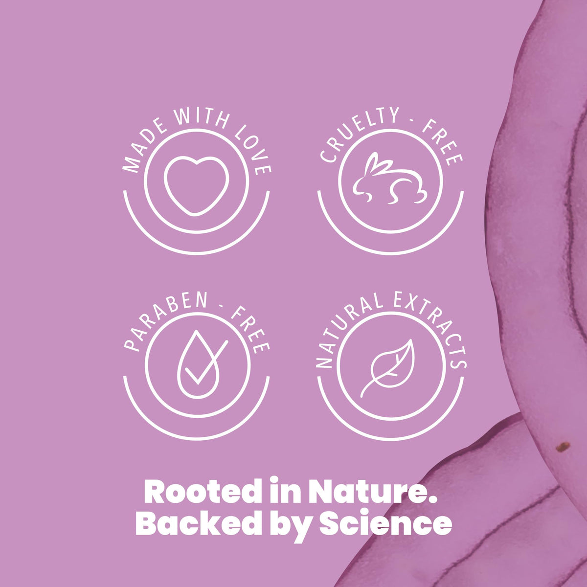 ANYELUZ Onion Extract ingredient close-up highlights natural nourishment.