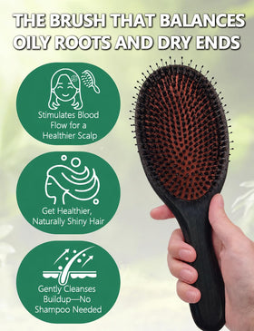 Anynew hand-held brush close-up highlighting a comfortable grip and soft bristles.