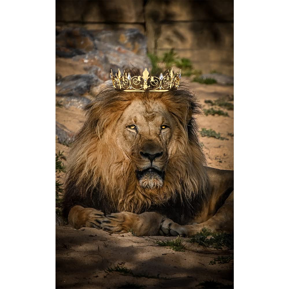 AOPRIE crystal crown hair accessory — lightweight headpiece for costumes and gifts.